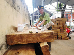 Quý I/2022 vi phạm lâm luật tăng 89 vụ