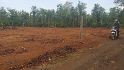 “Siết” việc phân lô đất nông nghiệp: Tại sao chưa thực hiện?