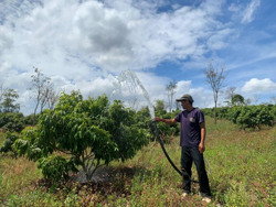 Xanh hóa vùng đất cằn