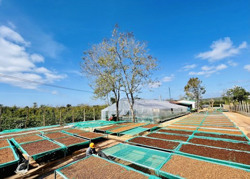 Xây dựng thương hiệu - nâng tầm cho sản phẩm địa phương