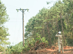 Ứng dụng thiết bị bay không người lái: Nâng cao hiệu quả quản lý lưới điện