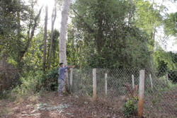 Giữ rừng đầu nguồn bến nước trước áp lực đô thị hóa