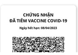 Chậm cấp hộ chiếu vắc-xin, người đứng đầu điểm tiêm chủng chịu trách nhiệm