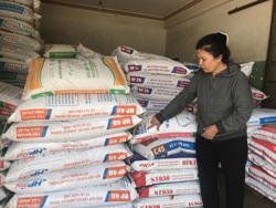 Giá thức ăn chăn nuôi tăng cao, người nuôi heo giảm đàn