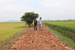 Huyện Krông Ana: Người dân chung sức làm đường giao thông nội đồng