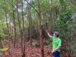 Cải thiện sinh kế nhờ nhận khoán đất lâm nghiệp