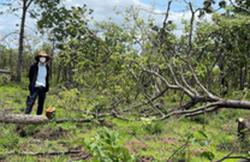 Sinh tồn cùng tự nhiên