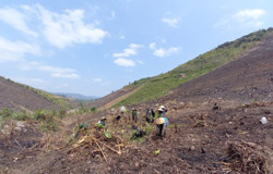 Ngang nhiên phá trắng rừng tại huyện Lắk