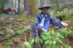 “Bảo vật” của đại ngàn