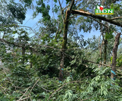 Cảnh giác với thời tiết cực đoan ở giai đoạn giao mùa