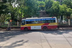 Đến hết năm 2022 doanh nghiệp vận tải hành khách phải có 20% phương tiện có chỗ ngồi dành riêng cho người khuyết tật