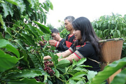 Hội nghị xúc tiến đầu tư lĩnh vực nông nghiệp sẽ diễn ra vào ngày 28/4