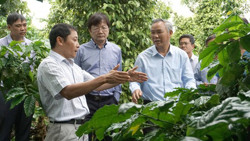 Dư địa lĩnh vực nông nghiệp là điểm hấp dẫn các nhà đầu tư đến với Đắk Lắk