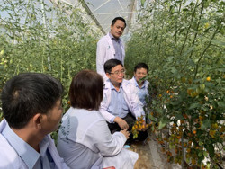 Phát triển nông nghiệp tích hợp đa giá trị