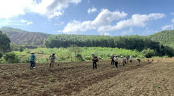 Phụ nữ Ea Trang đổi công, giúp nhau sản xuất