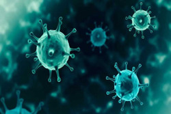 WHO công bố 5 sự thật về biến thể mới nhất XE