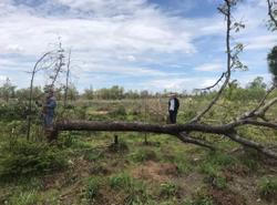 Đắk Lắk: Phát hiện vụ phá rừng trên diện tích gần 100 ha