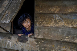 Về với đại ngàn - ấm áp những cung bậc yêu thương