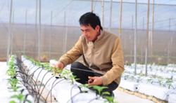 Chuyển đổi số nông nghiệp cho Tây Nguyên