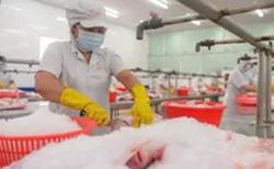 NÓNG: Đề xuất hỗ trợ mức đóng BHYT cho thân nhân của người lao động