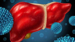 Tăng cường giám sát trường hợp viêm gan cấp tính không rõ nguyên nhân