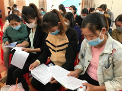 Để kết nối cung cầu lao động hiệu quả