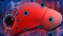 Không chủ quan trước bệnh viêm gan 'bí ẩn'