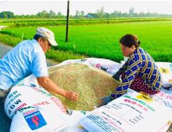 Nỗ lực kìm giá phân bón