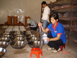 Sử dụng enzyme để tách lớp nhớt của hạt cà phê thóc trong công nghệ chế biến ướt