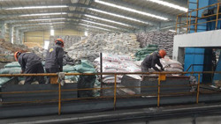 Giá phân bón neo cao, nông dân điêu đứng