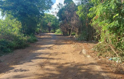 Sau phản ánh của Báo Đắk Lắk, bãi rác trên đường Mai Thị Lựu đã được dọn dẹp