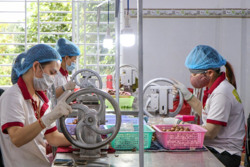 Gia tăng giá trị nông sản từ phát triển sản phẩm OCOP