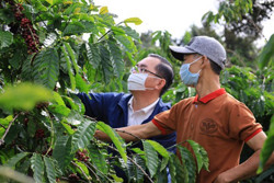 Triển khai Đề án phát triển du lịch sinh thái nông nghiệp gắn với xây dựng nông thôn mới