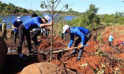 Đắk Nông phấn đấu trồng 3 triệu cây xanh năm 2022