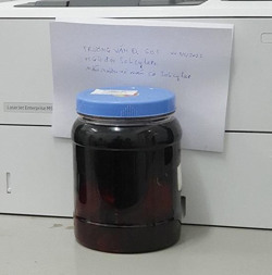 Hôn mê, tổn thương não do uống rượu ngâm rễ cây rừng