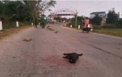 Tông vào xe nghi trộm chó - mèo, 3 thanh thiếu niên bị khởi tố tội giết người