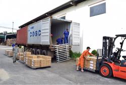 Xuất khẩu hàng hóa: Nhiều cơ hội vượt qua thách thức