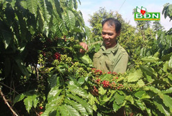 Đưa nông sản lên sàn - Còn nhiều việc phải làm