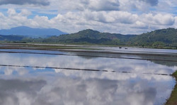 Nông dân huyện Lắk “điêu đứng” vì hàng trăm ha lúa vừa gieo sạ bị ngập úng