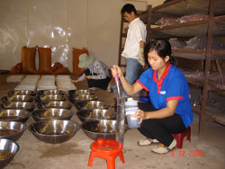 Sử dụng enzyme để tách lớp nhớt của hạt cà phê thóc trong công nghệ chế biến ướt