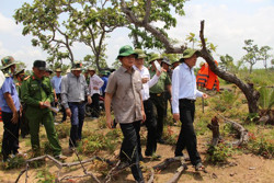 Huyện Ea Súp phát động phong trào toàn dân tham gia tố giác hành vi vi phạm về lâm luật