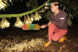 Theo những mùa hoa sầu riêng