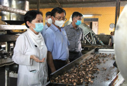 Doanh nghiệp Ea Kar tìm đà vượt “bão”