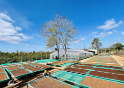 Xây dựng thương hiệu - nâng tầm cho sản phẩm địa phương