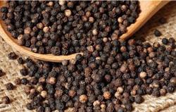 Xuất khẩu hạt tiêu sang châu Âu tăng gần 2 lần