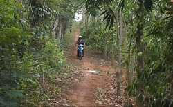 Cần xử lý dứt điểm mâu thuẫn do tranh chấp lối đi vào rẫy