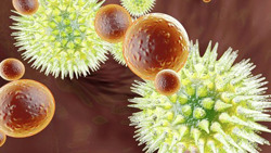 Chủ động giám sát căn bệnh viêm gan 'bí ẩn'