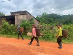 Đề xuất bố trí hơn 460 tỷ đồng để ổn định dân di cư tự do