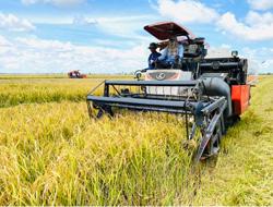 Nông dân muốn vay vốn ngân hàng nhưng không cần tài sản bảo đảm, phải làm sao?