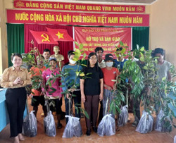 Ban Dân vận Tỉnh ủy hỗ trợ cây giống cho người dân huyện Lắk